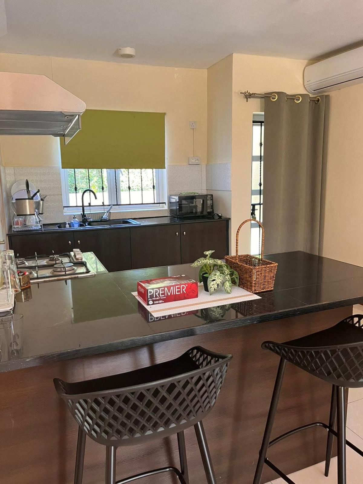 Palm Green Villa view 4