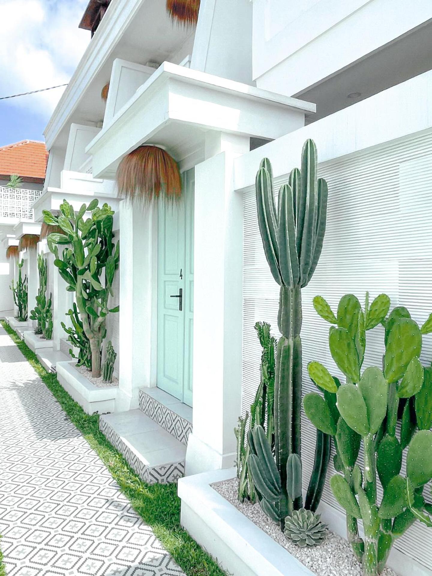 Kaktus Boutique Apartments Bali - ADULTS ONLY