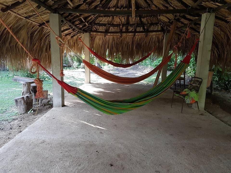 Hostal Finca San Martín De Loba