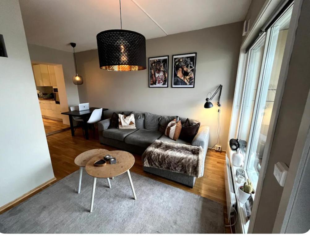 Sagene Urban Studio