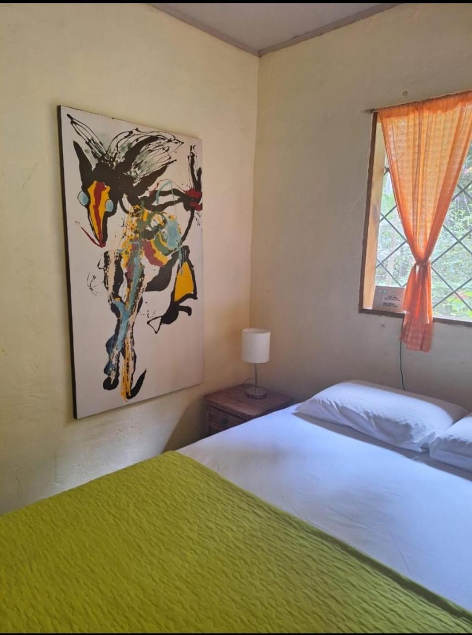 Four Monkeys Eco Lodge Jungle & Beach - The House