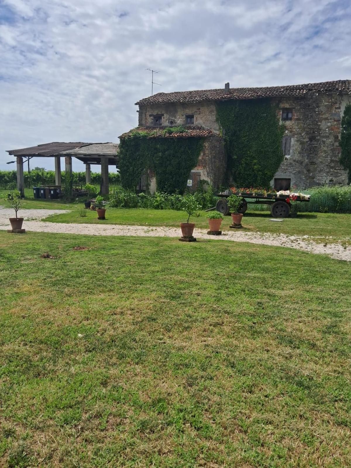 Casa Zafferano - apartment with garden