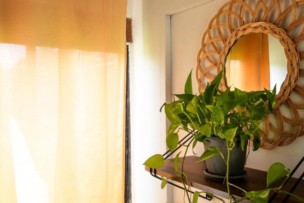 Apartamentos turisticos - Boho Sai