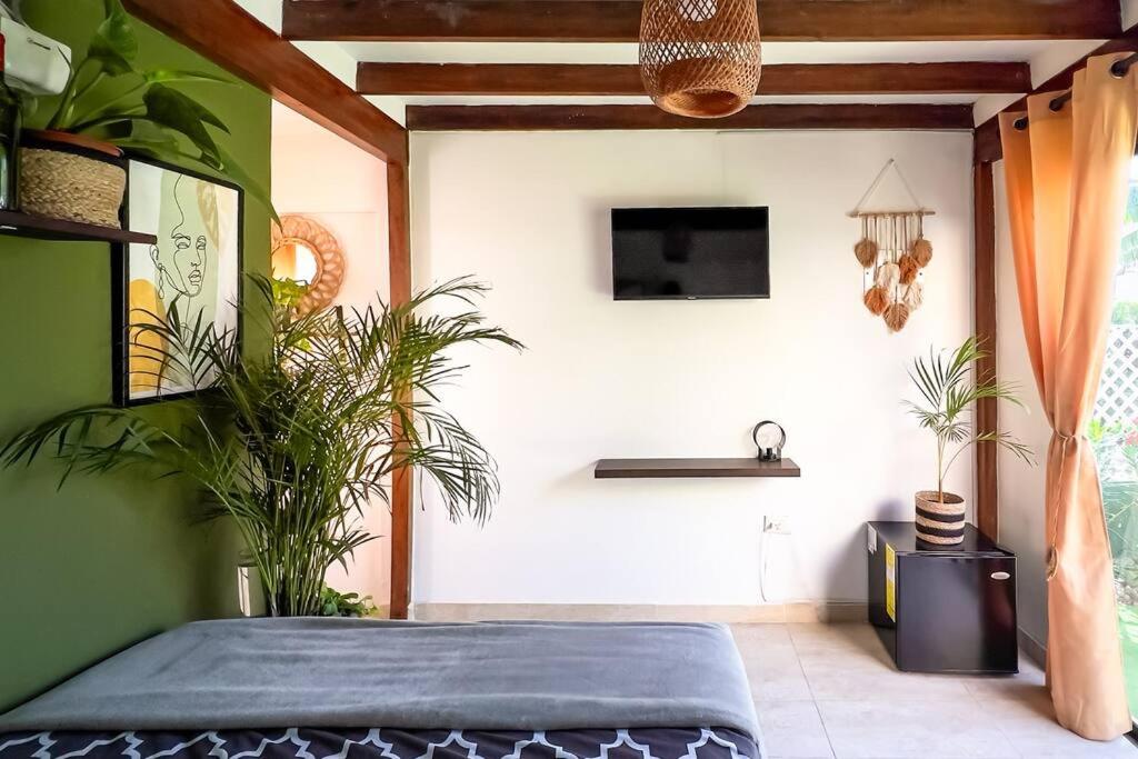 Apartamentos turisticos - Boho Sai
