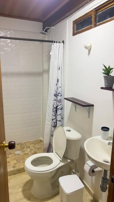 Apartamentos turisticos - Boho Sai