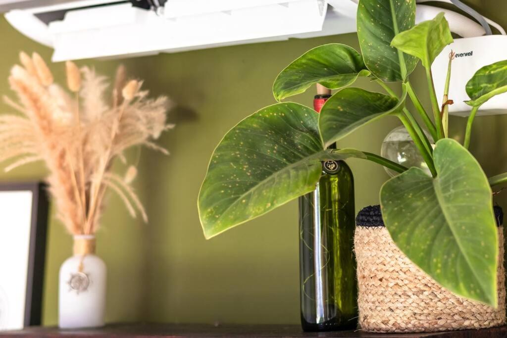 Apartamentos turisticos - Boho Sai