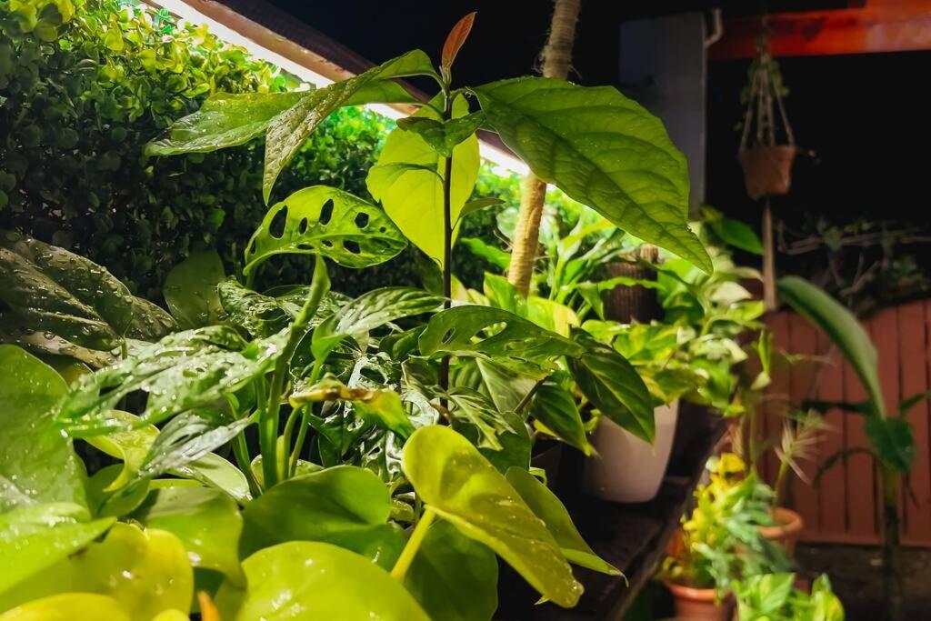 Apartamentos turisticos - Boho Sai