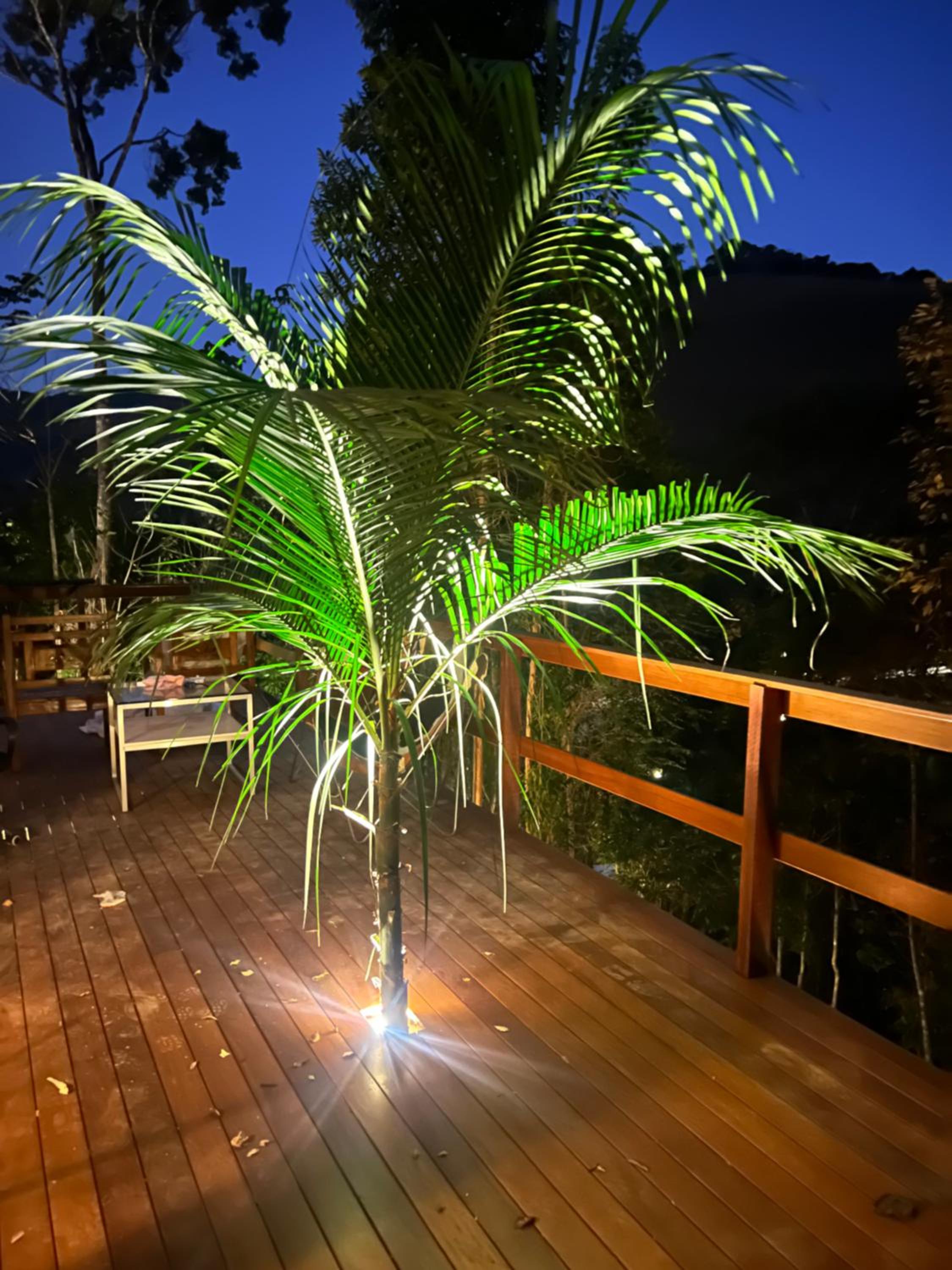 Cactus Cabana
