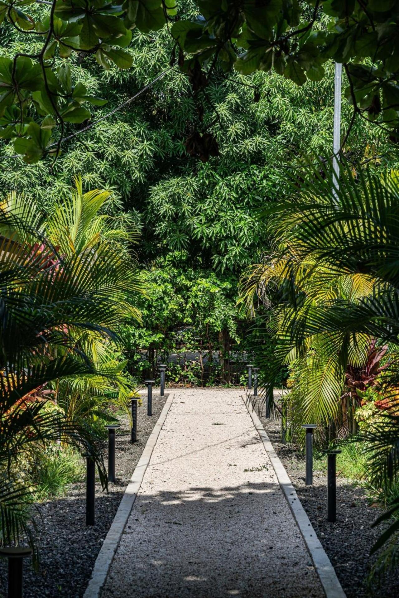 Encano Boutique Community - Modern Villas in Tropical Community - Tamarindo