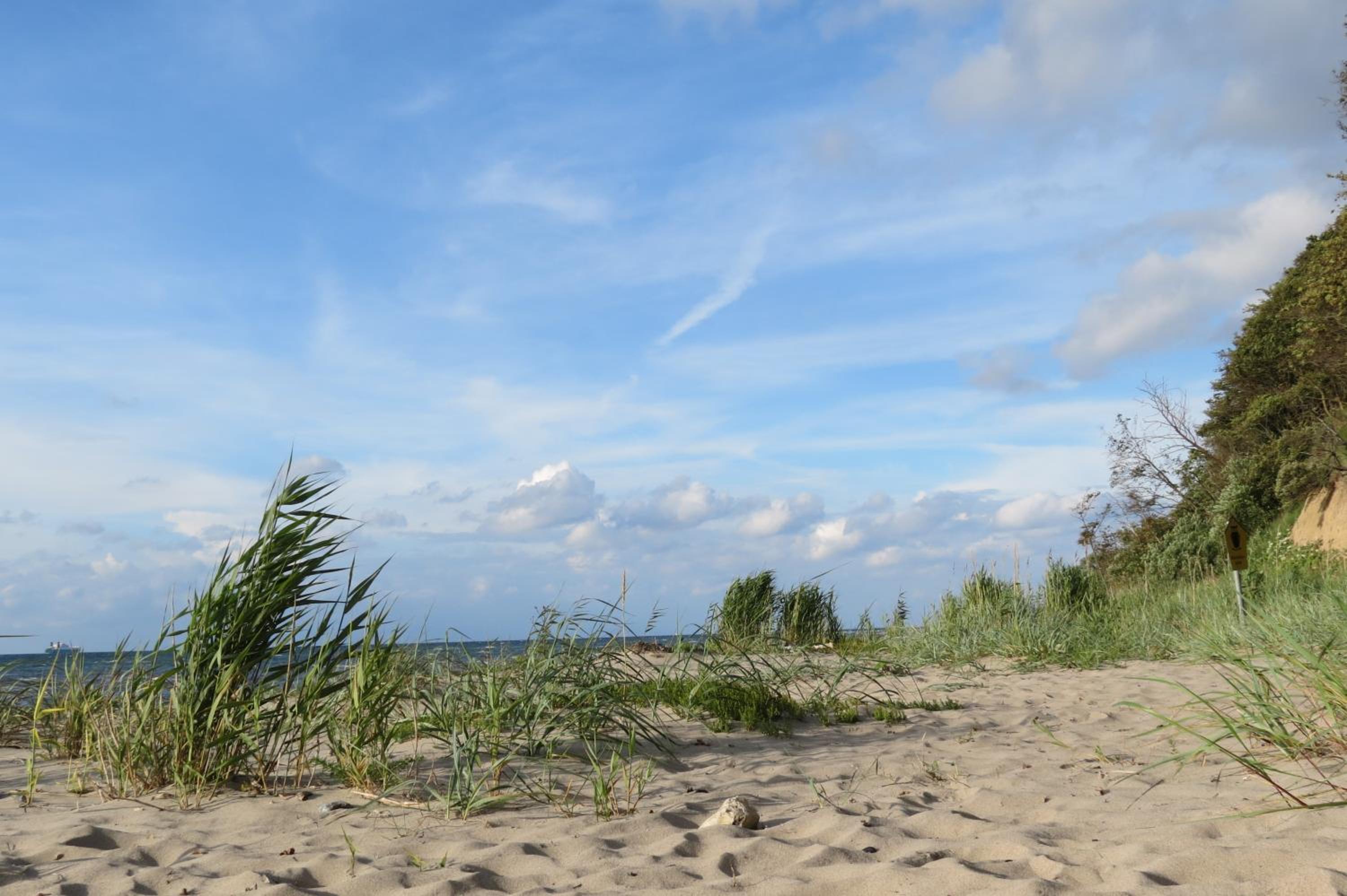 Seeblick
