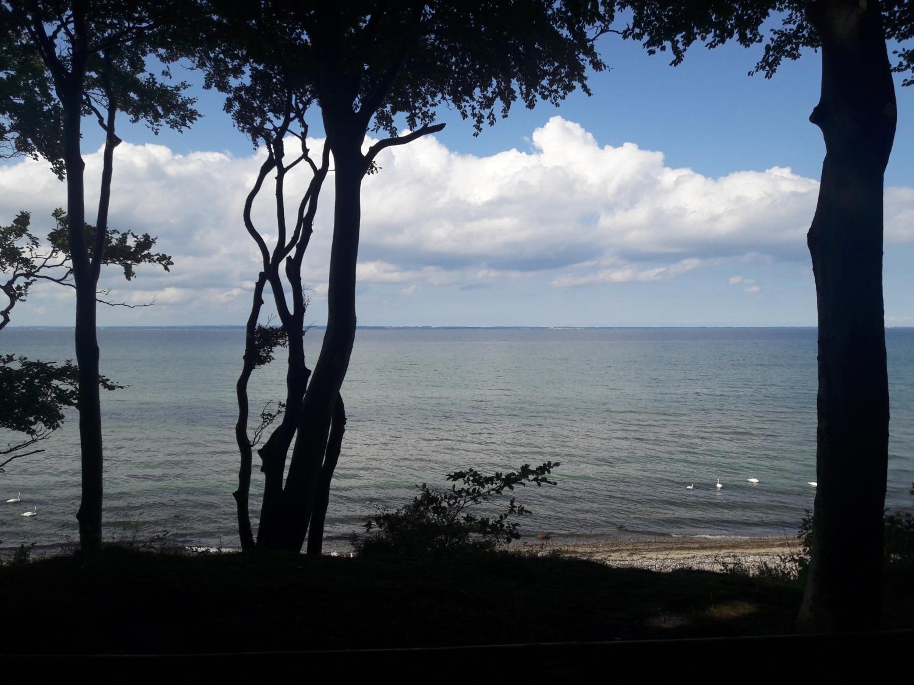 Seeblick