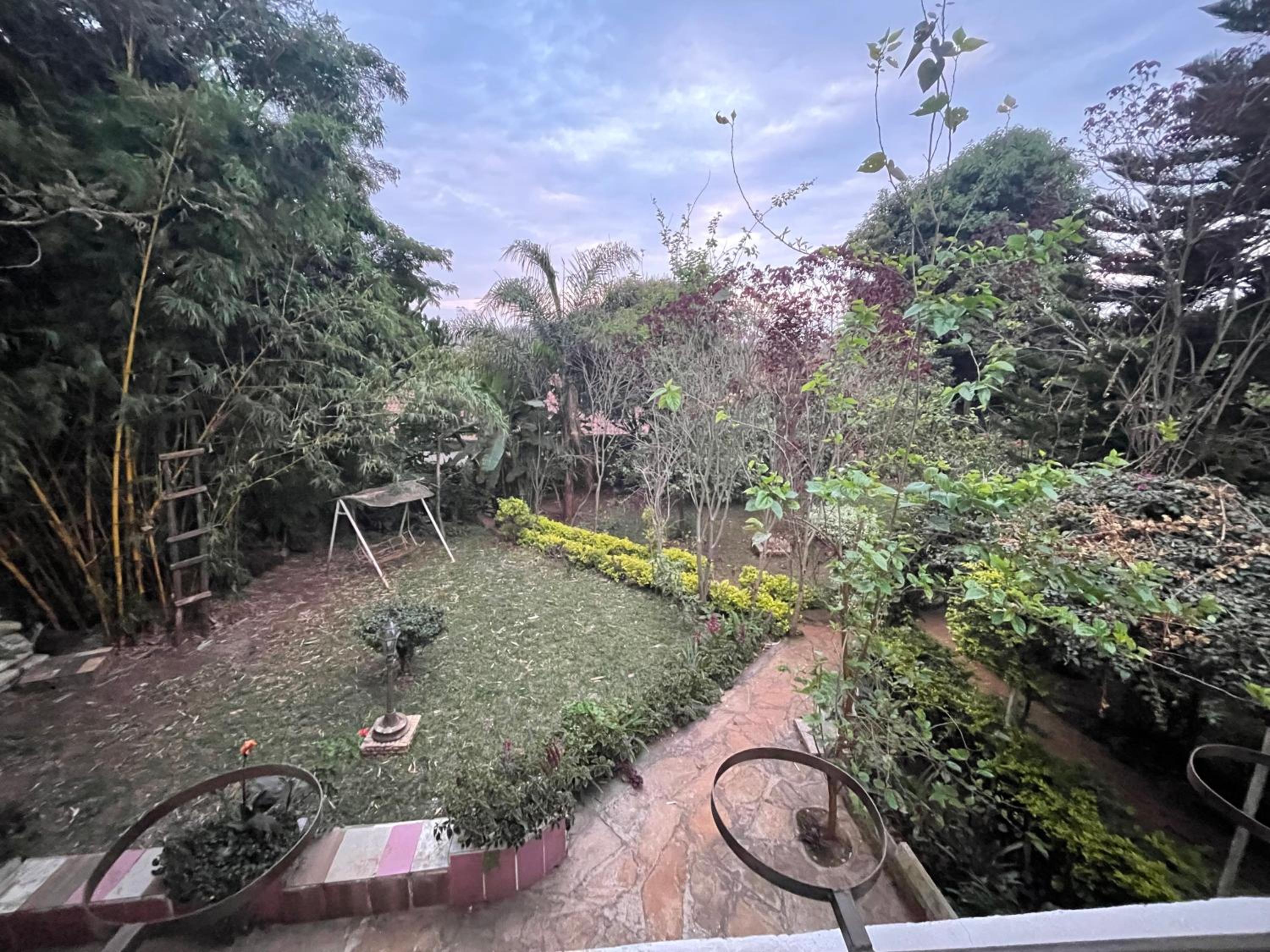 Kitisuru Nest view 2