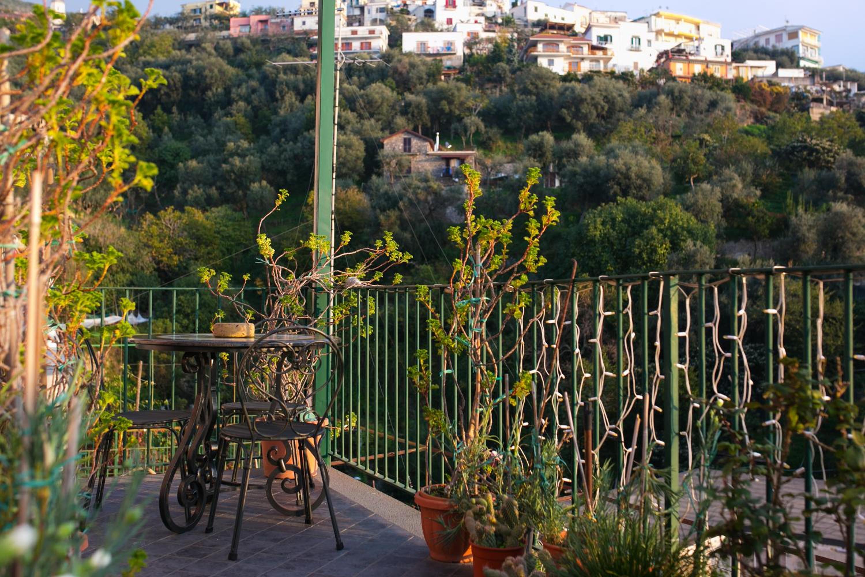 Le Case Di Rosella photo 3