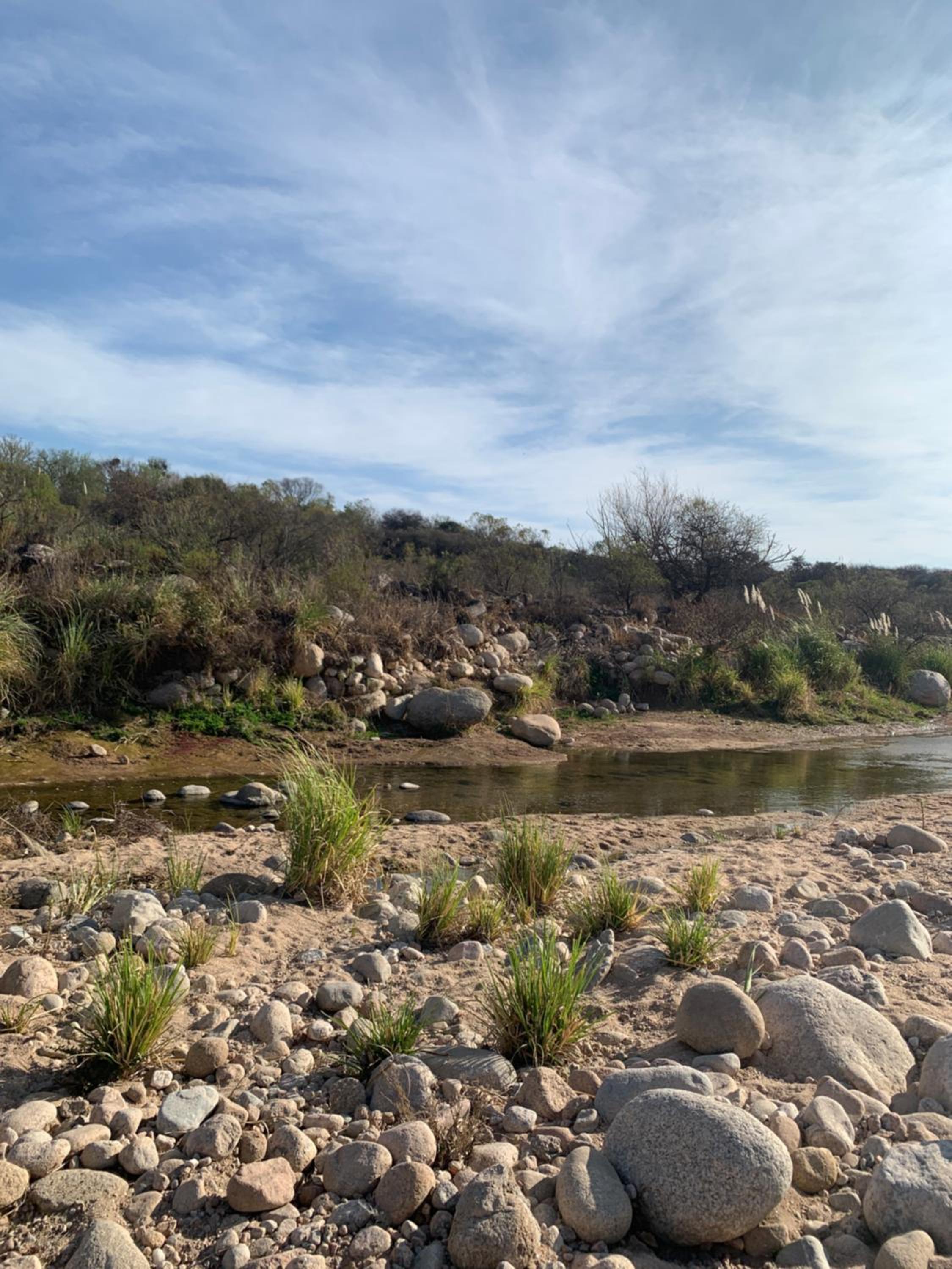 Cabaña del Bosque