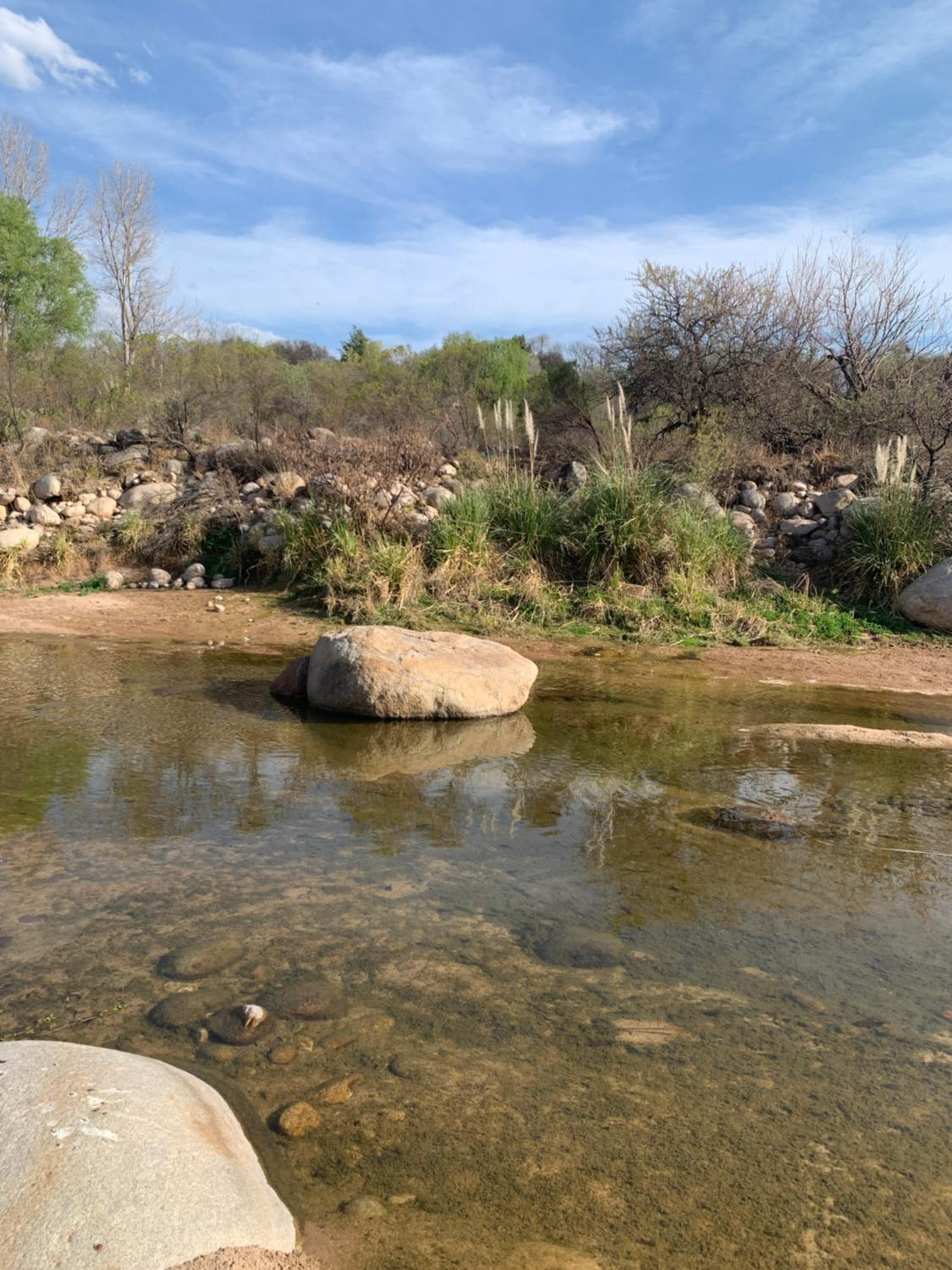 Cabaña del Bosque