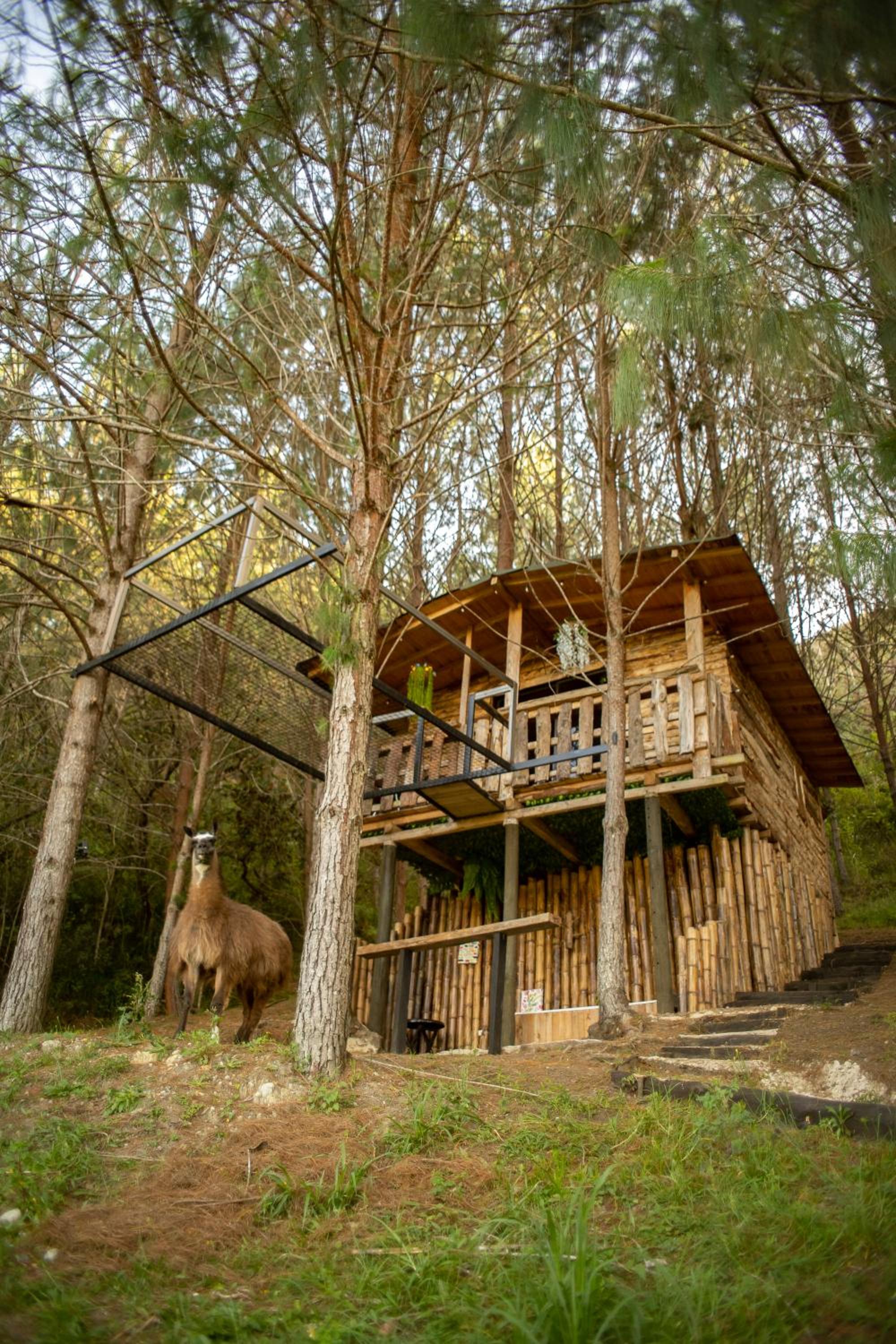 Refugio Natural - Guarne - Cabañas Ecológicas con Jacuzzi e hidromasaje