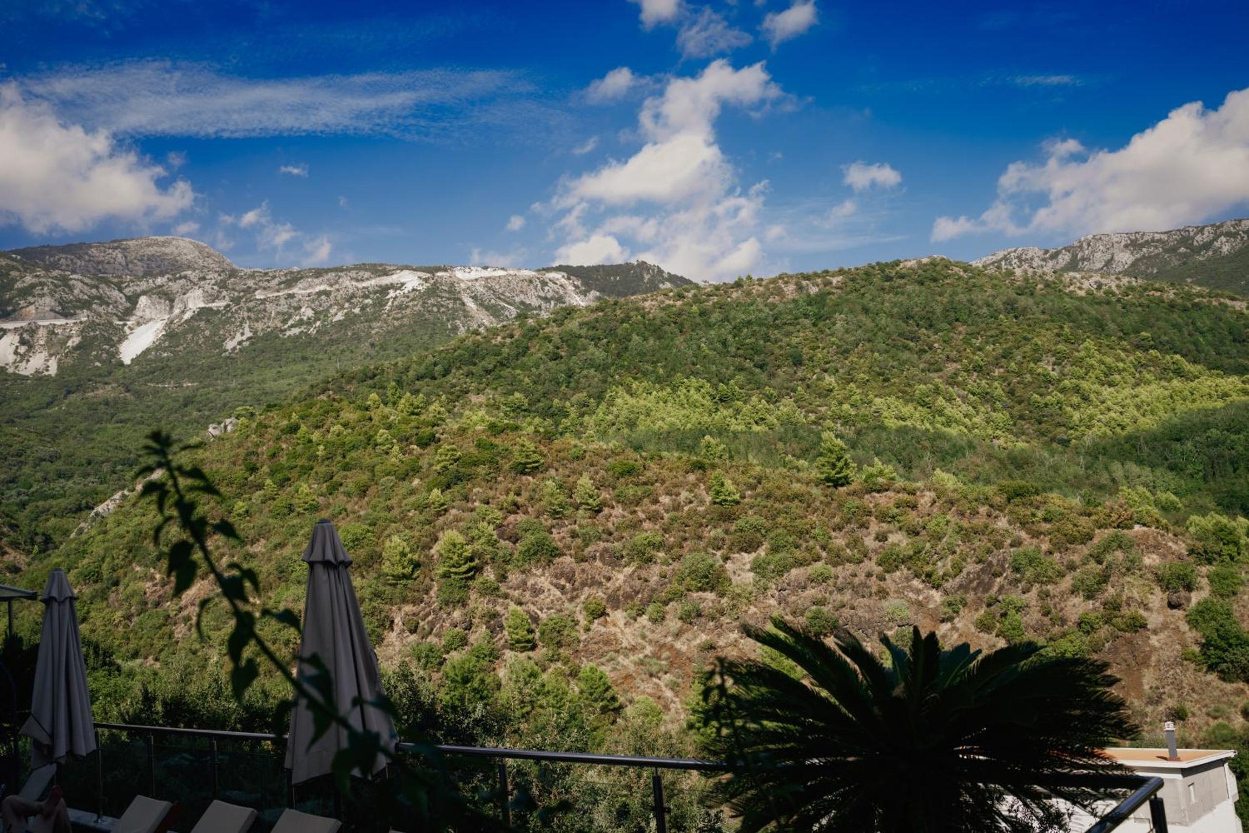 Montehome