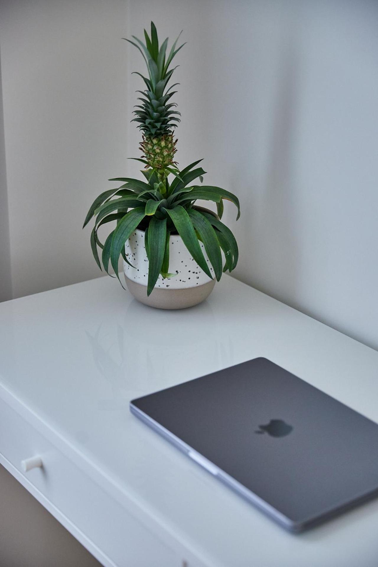 Urban Chic Apartment in the Heart of Mechelen