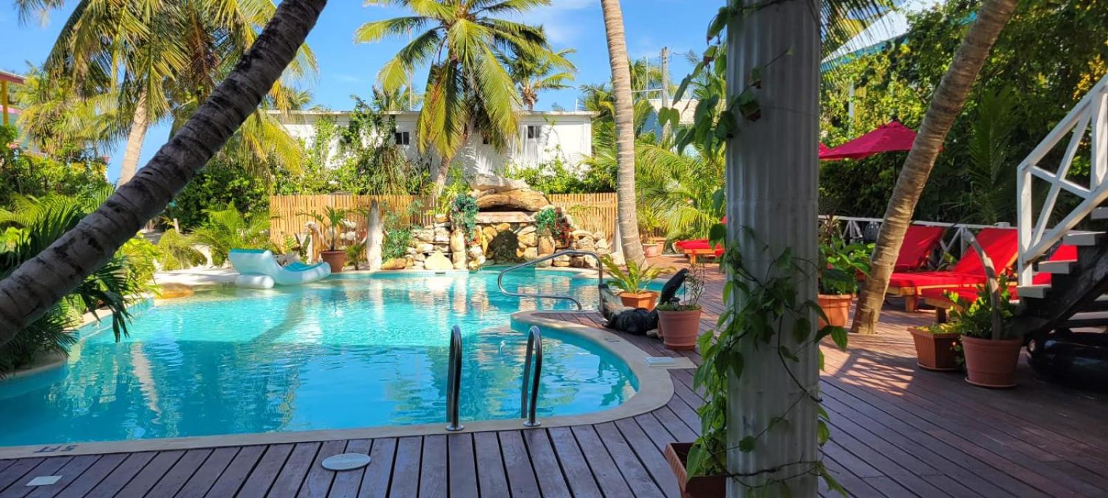 Caye Caulker Boutique Guesthouse 3