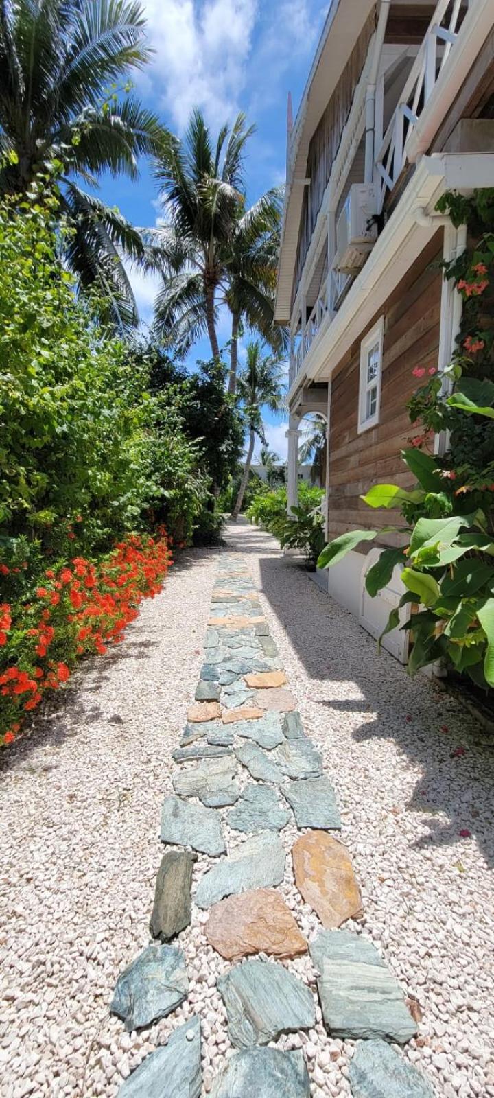 Caye Caulker Boutique Guesthouse 3