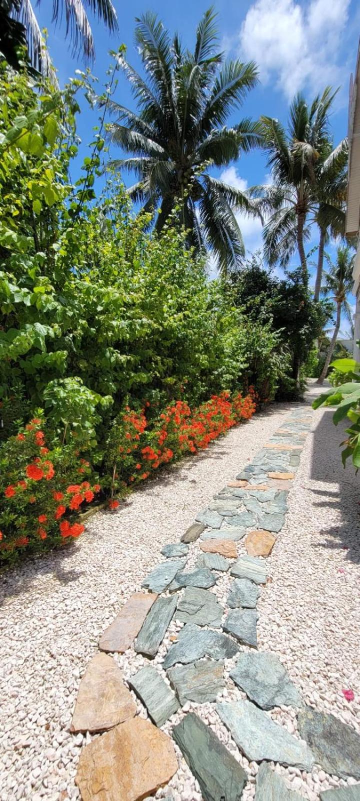 Caye Caulker Boutique Guesthouse 3