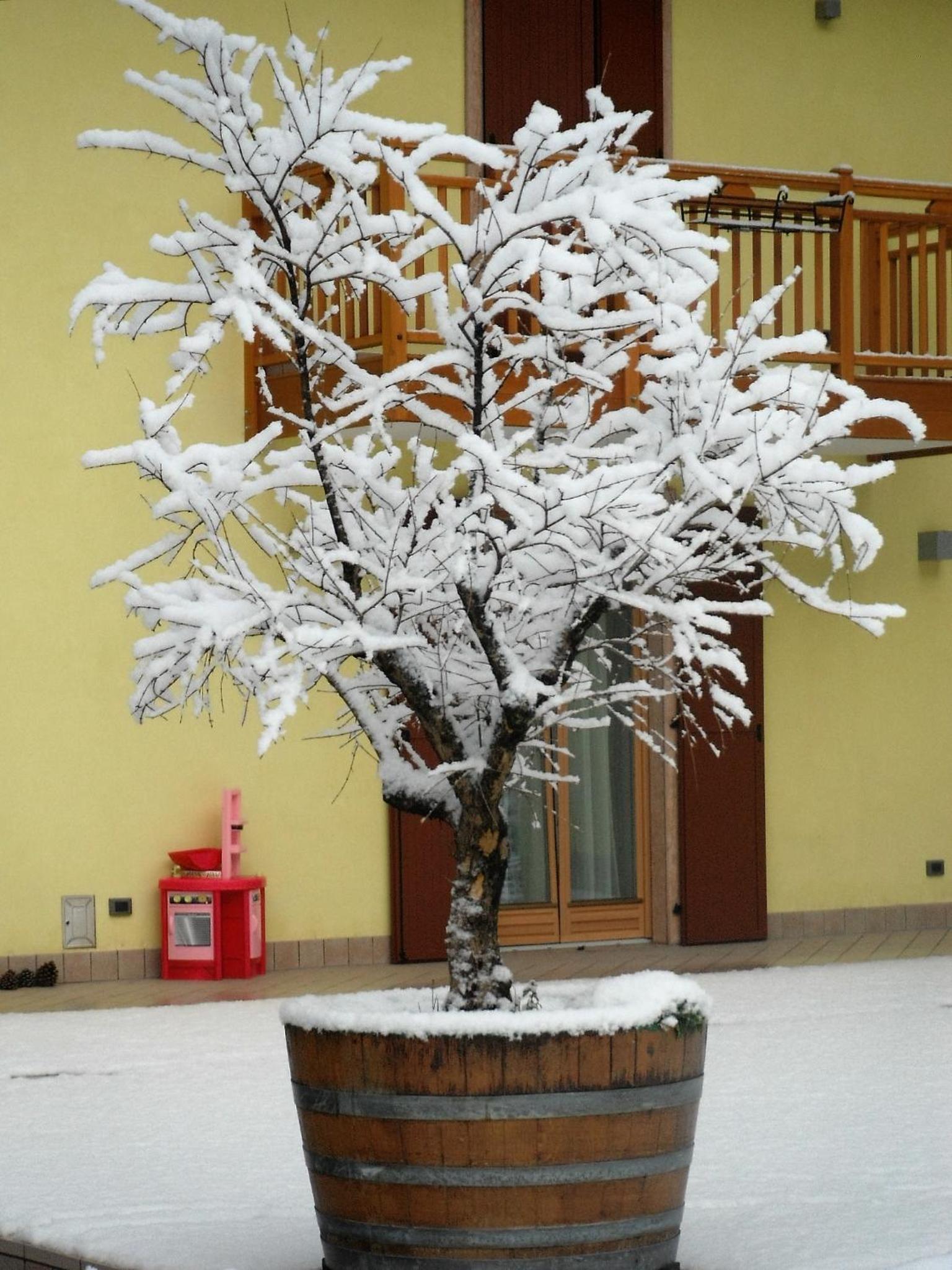 Photo 27