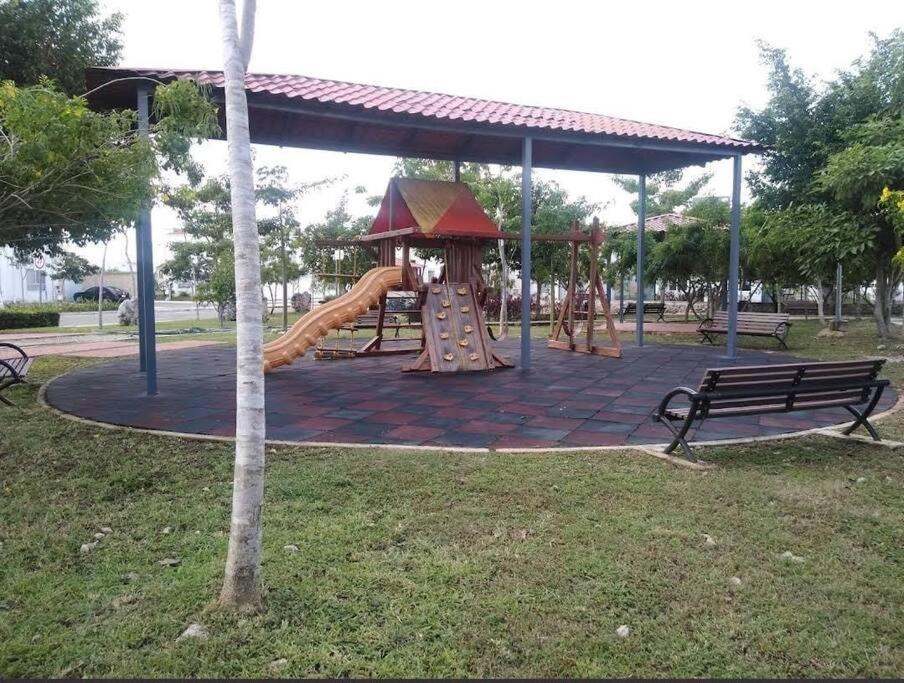 Photo 6