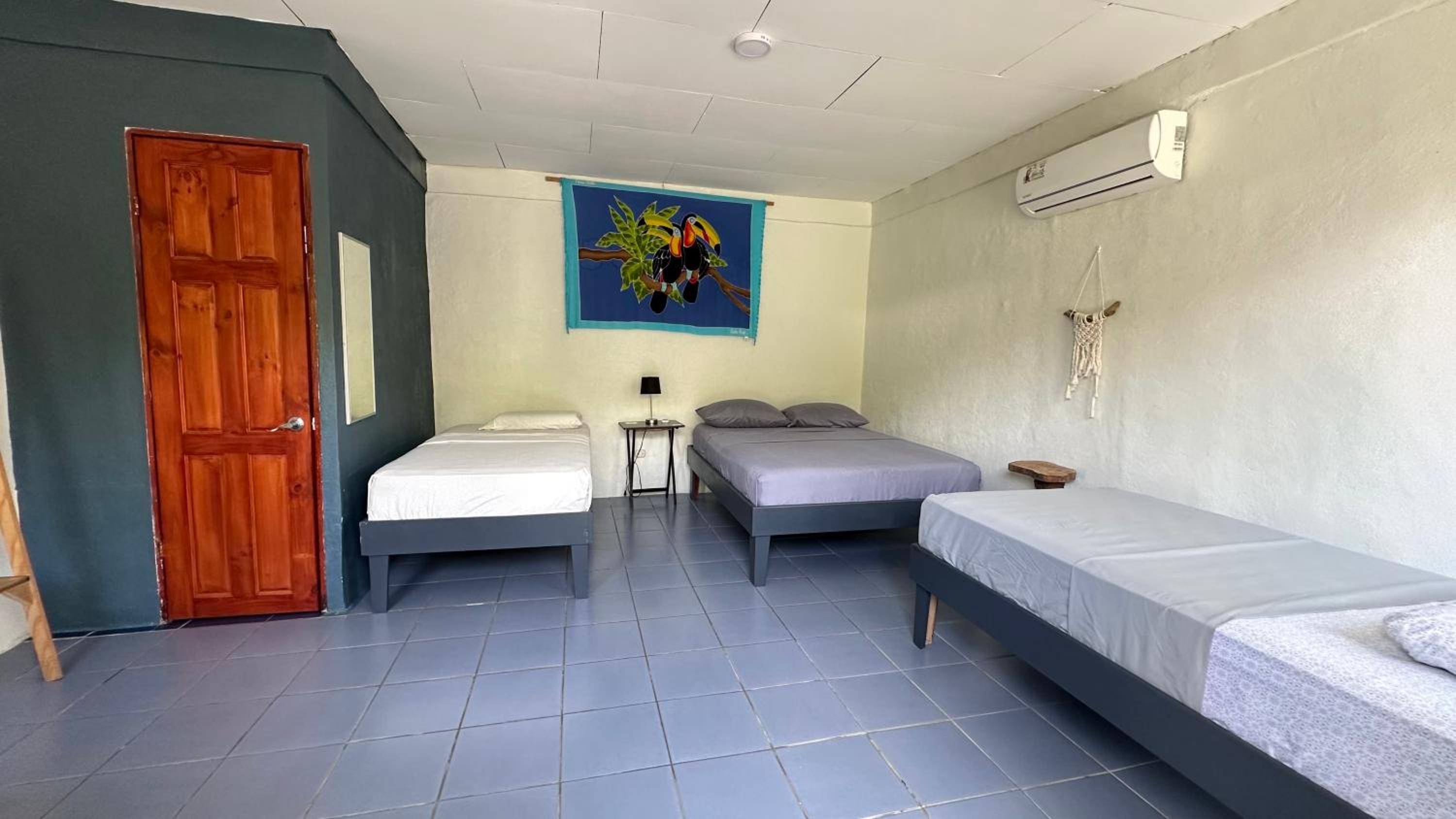 Rooms & Pool Macaws