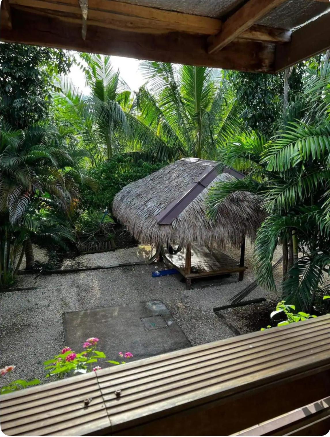 Bohol Island Homestay