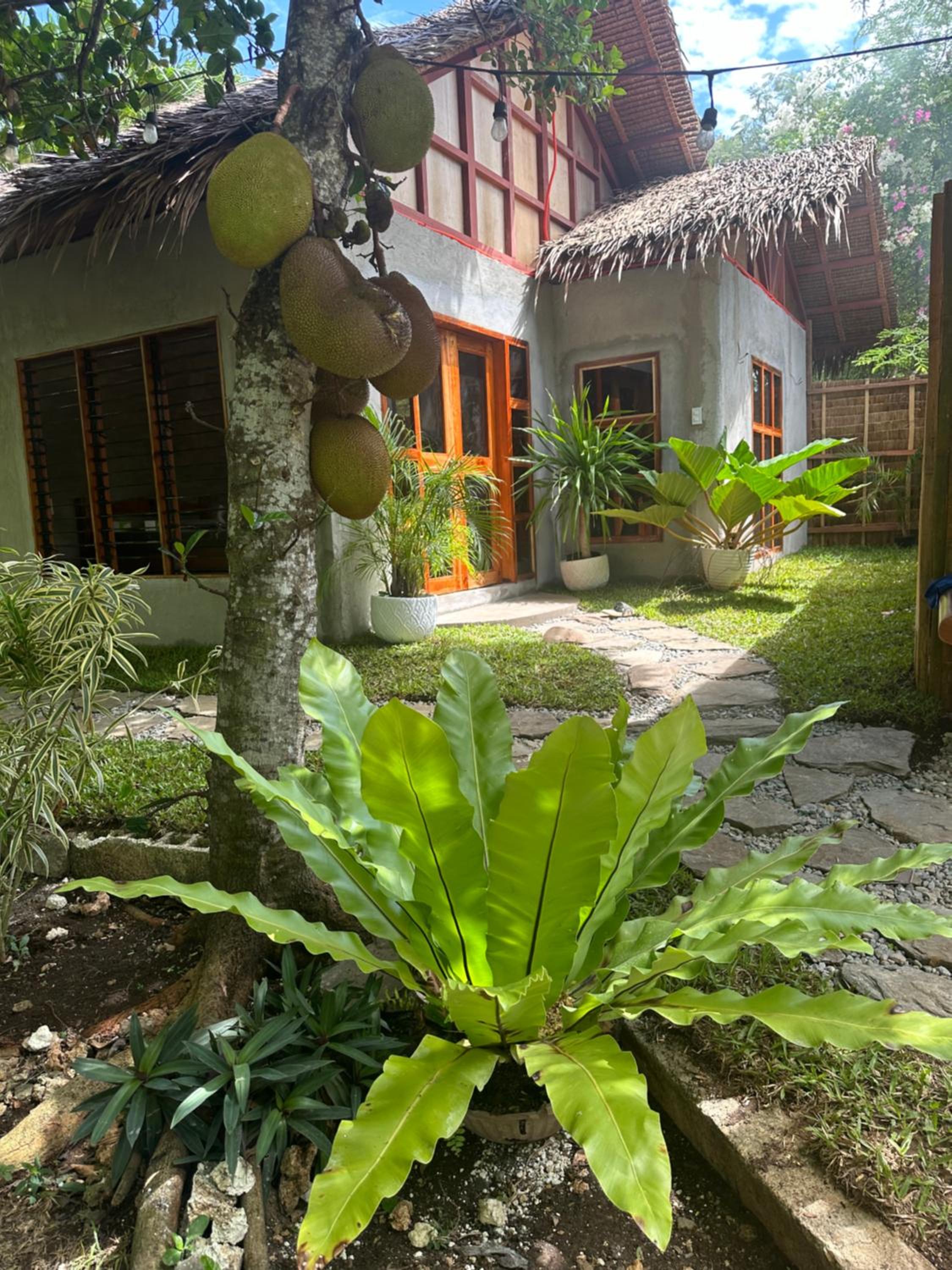 Bohol Island Homestay