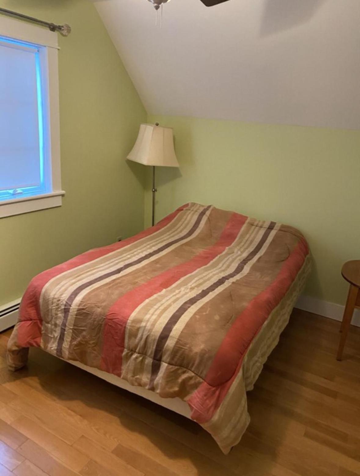 Photo 11