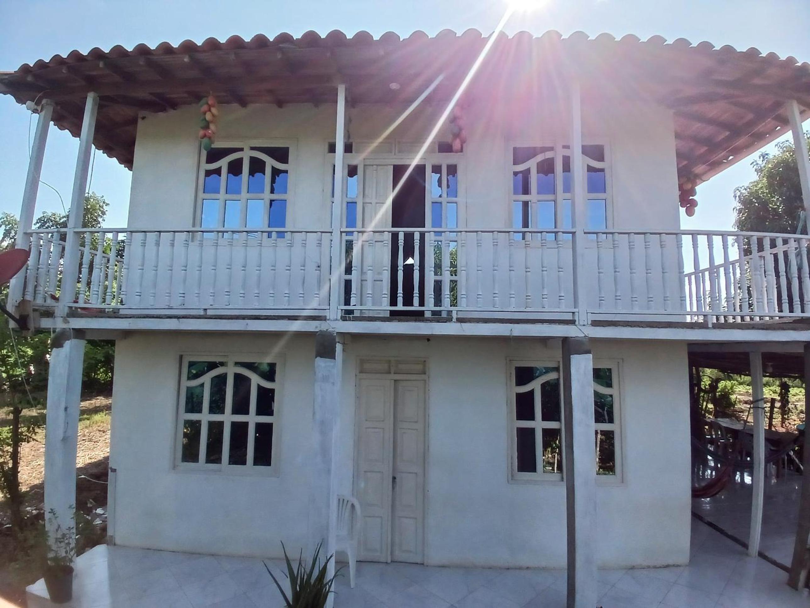 Caribean campestre
