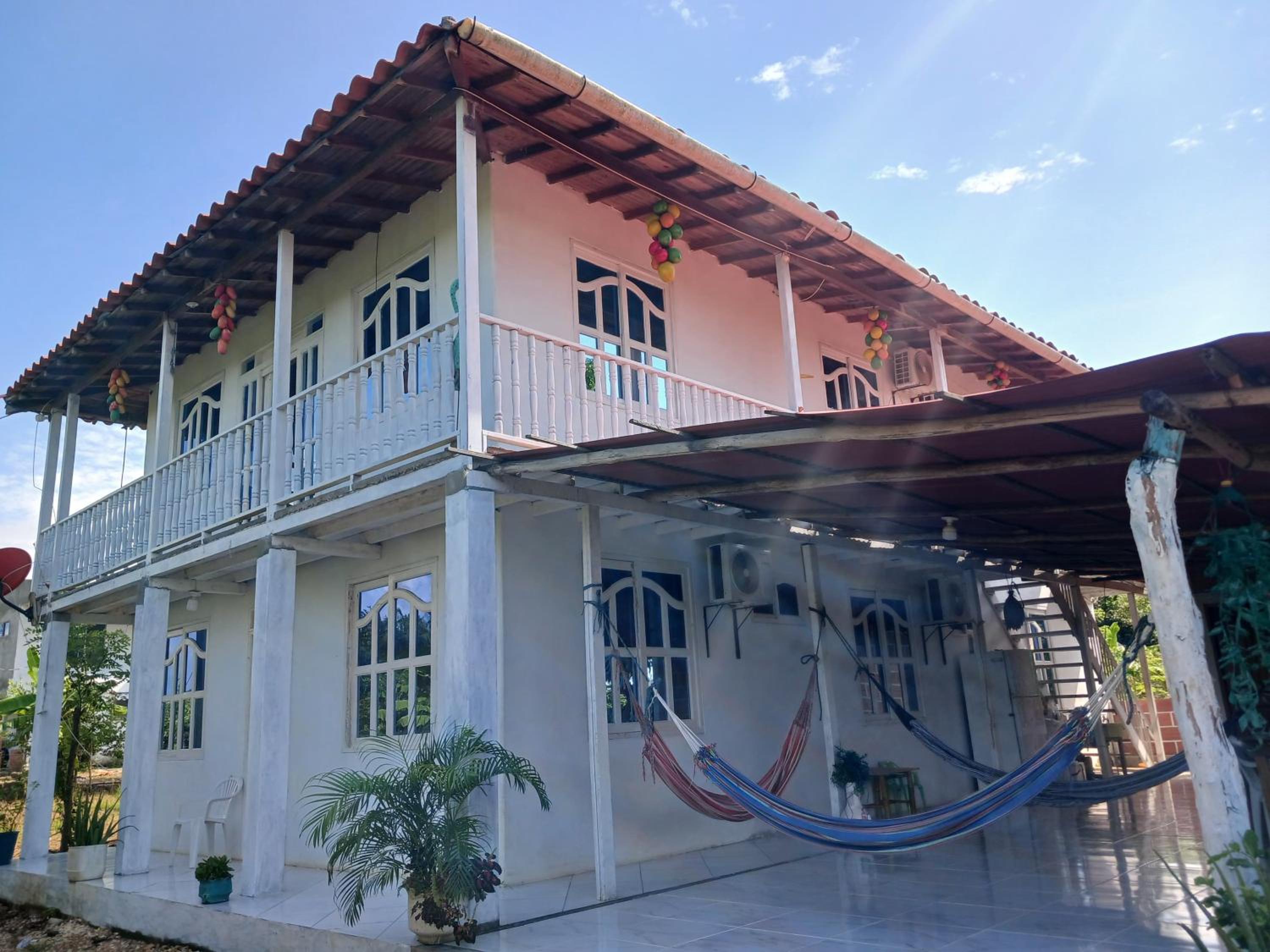 Caribean campestre