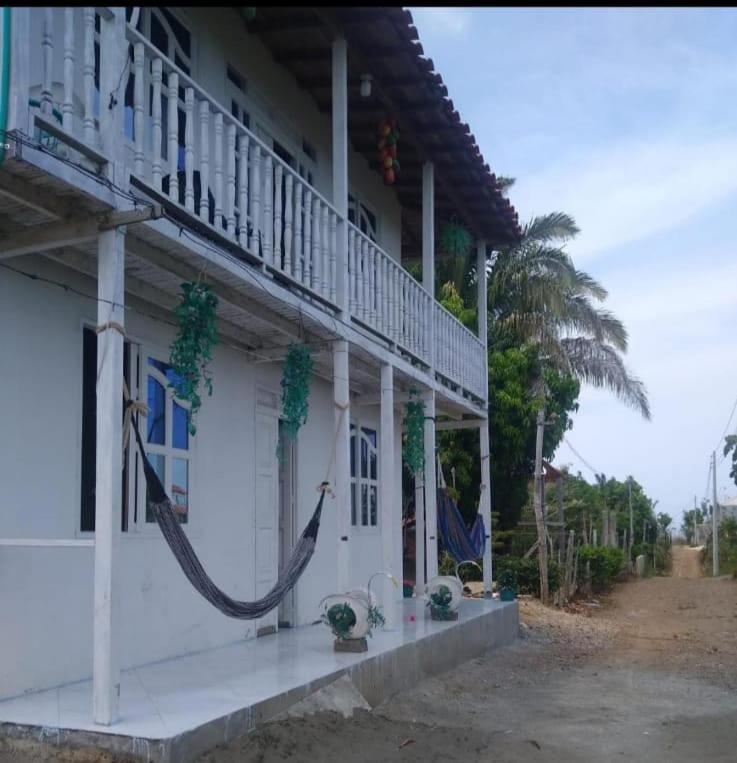 Caribean campestre