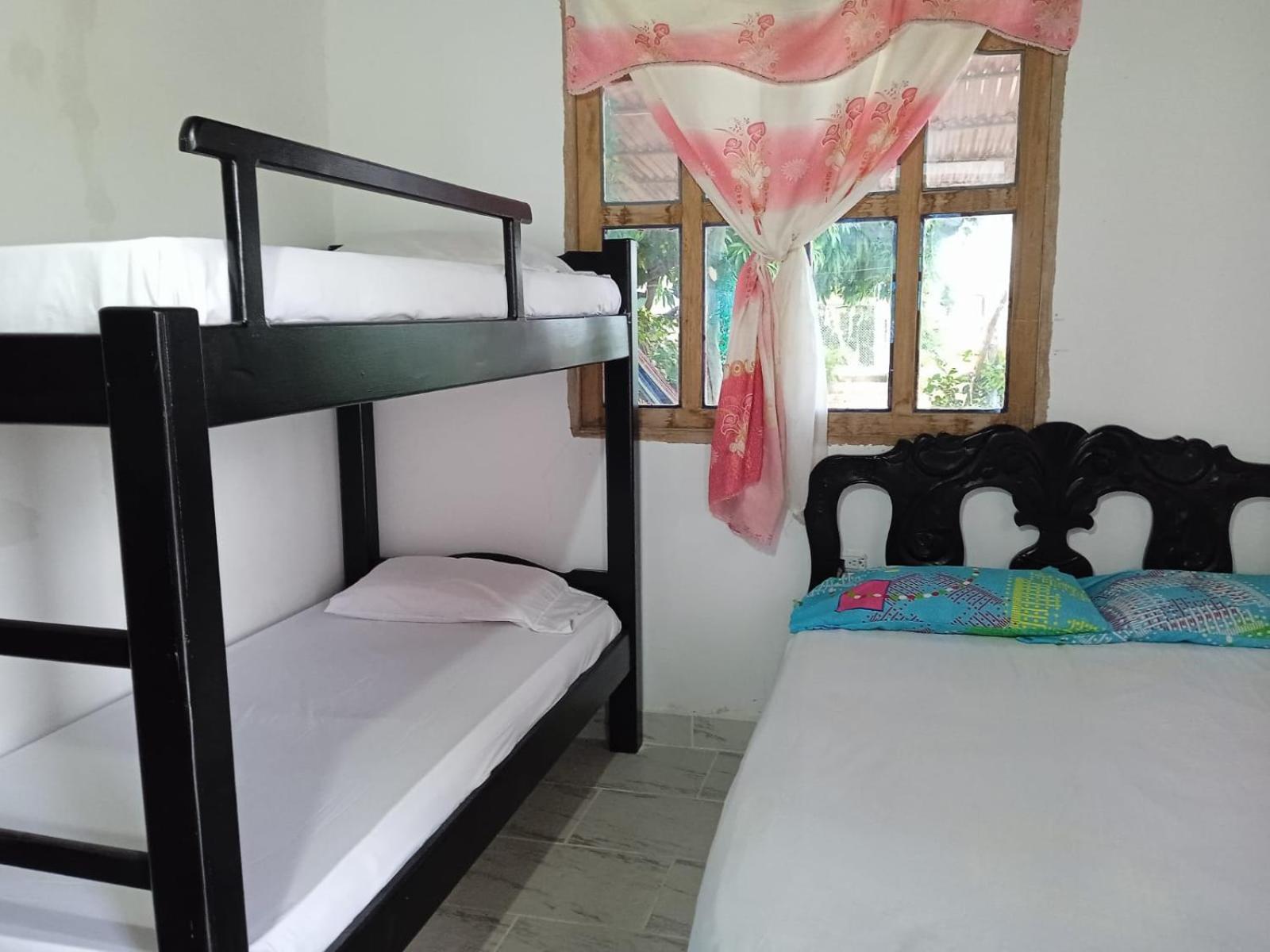 Caribean campestre
