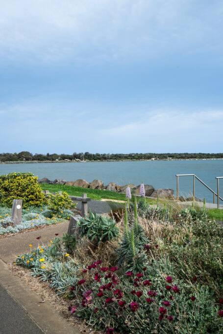 50m Walk to River , Pet Friendly, Spacious