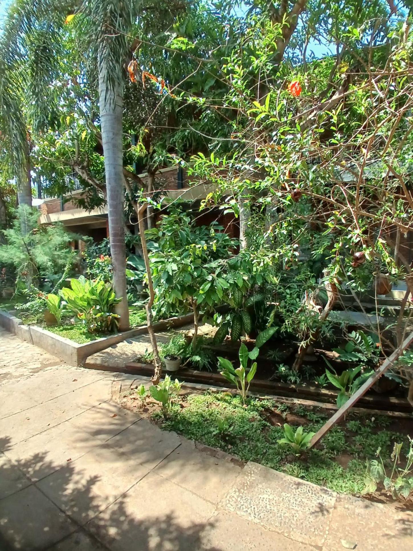 Danny juljol homestay
