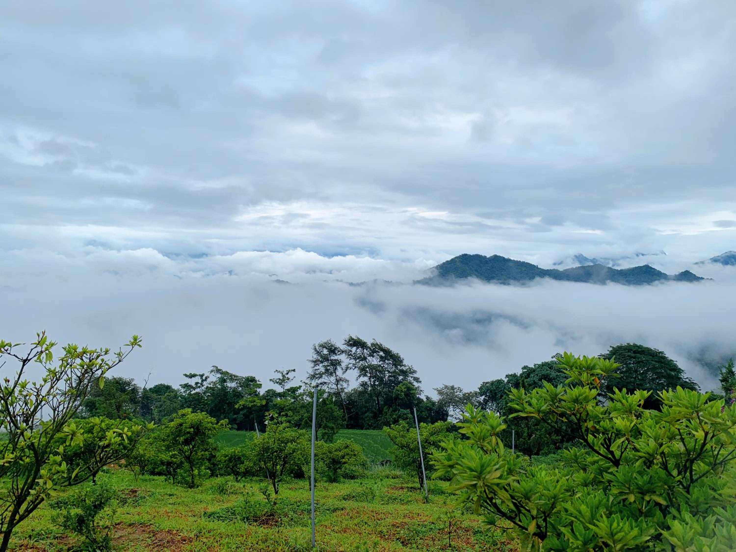 SIM Farmstay view 5