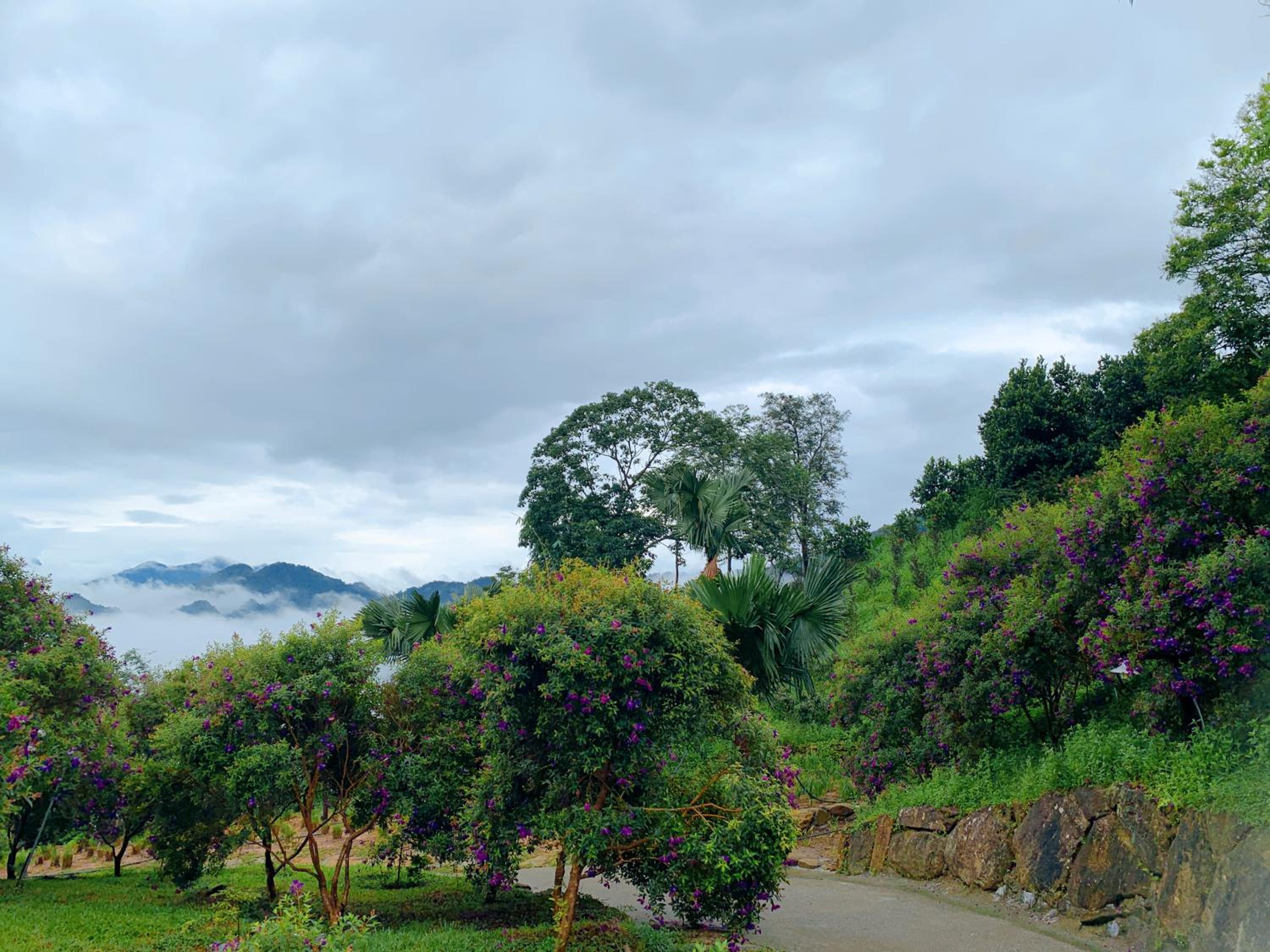 SIM Farmstay view 3