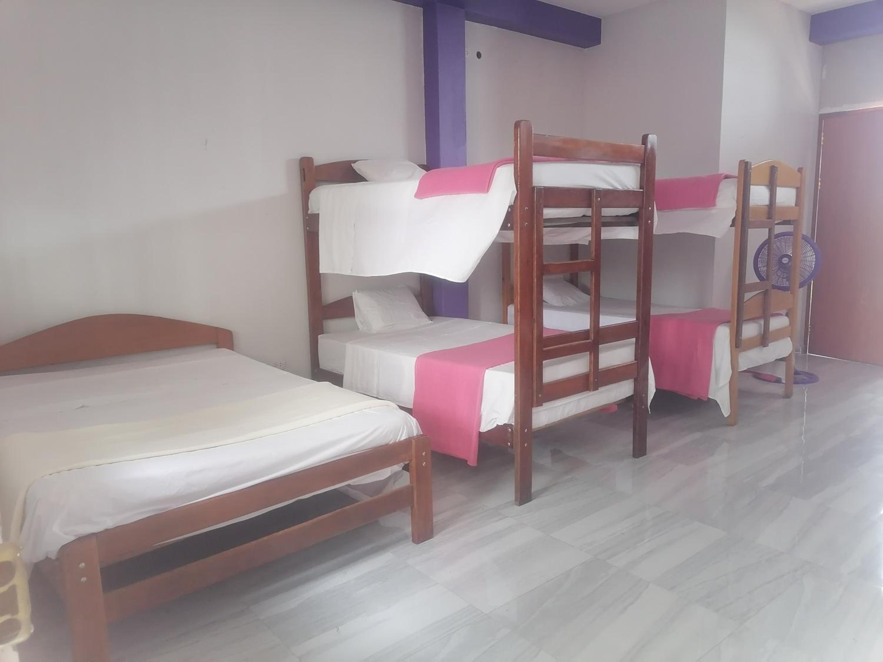Ayahuasca Hostel