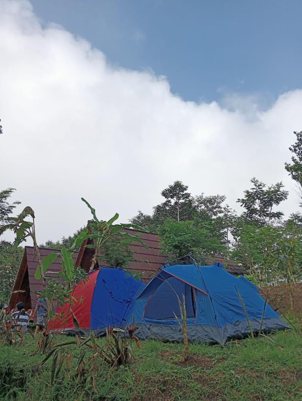 Bedugul puncak& giri camp view 5
