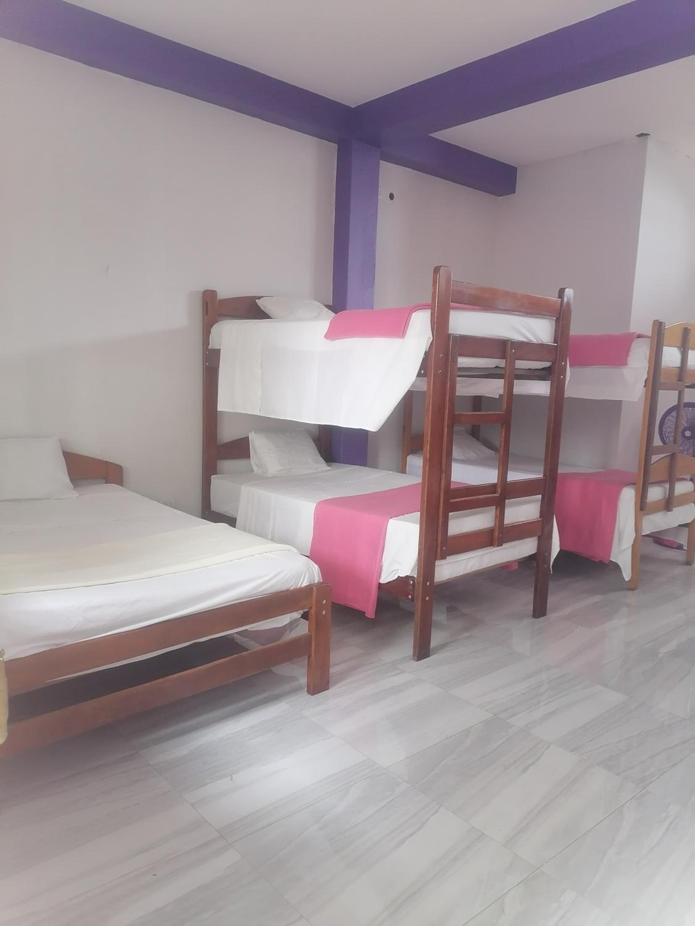 Ayahuasca Hostel