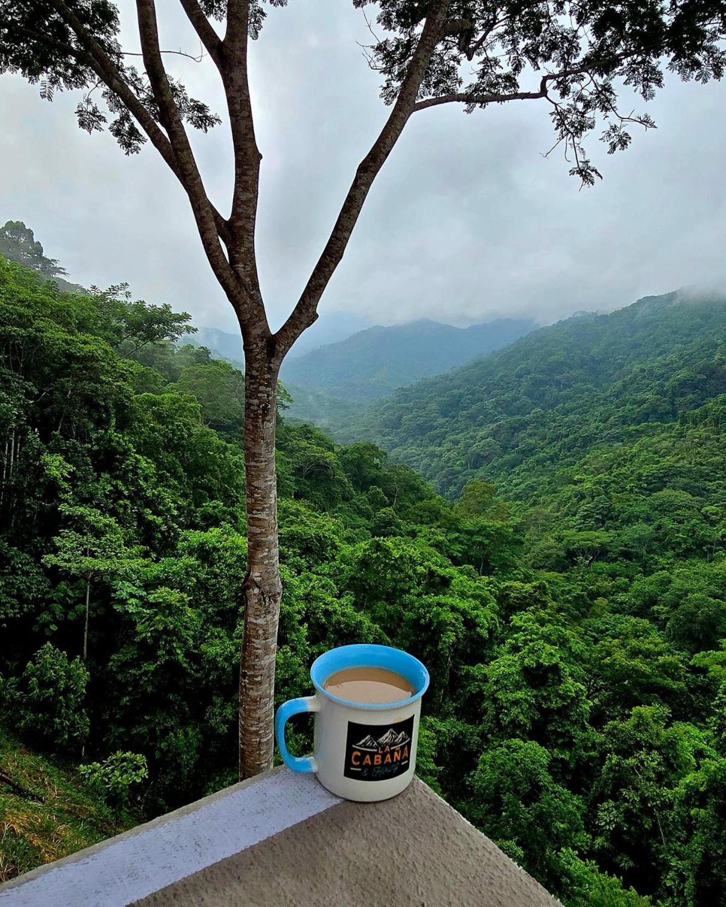 LA CABAÑA & hiking