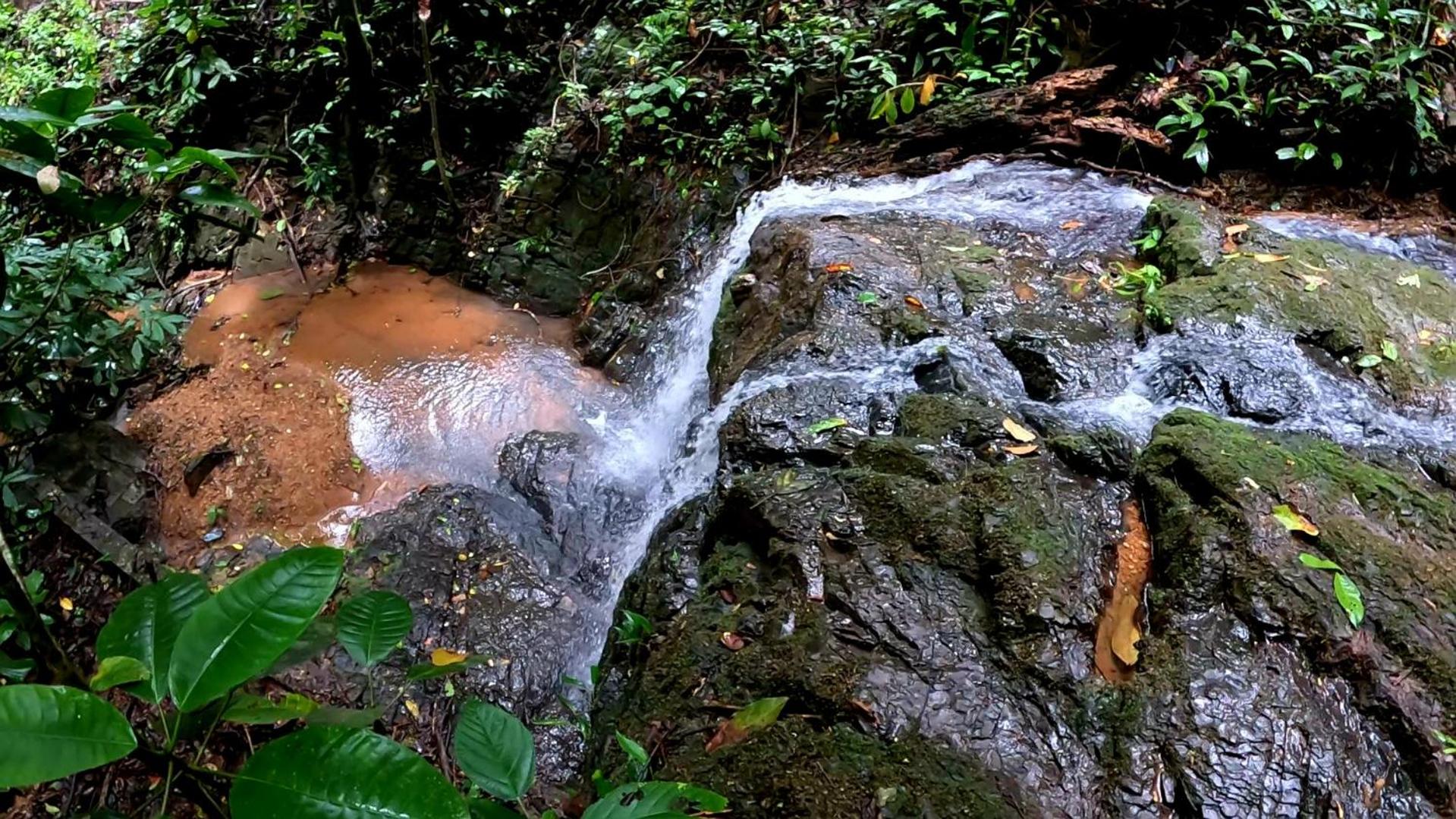 LA CABAÑA & hiking