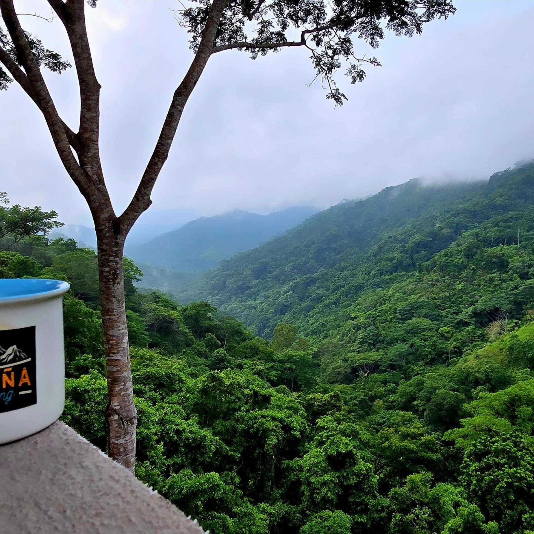 LA CABAÑA & hiking