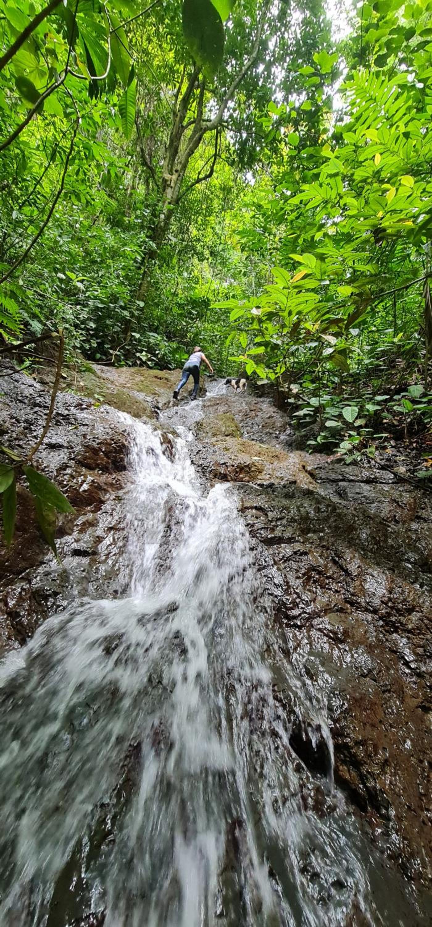LA CABAÑA & hiking