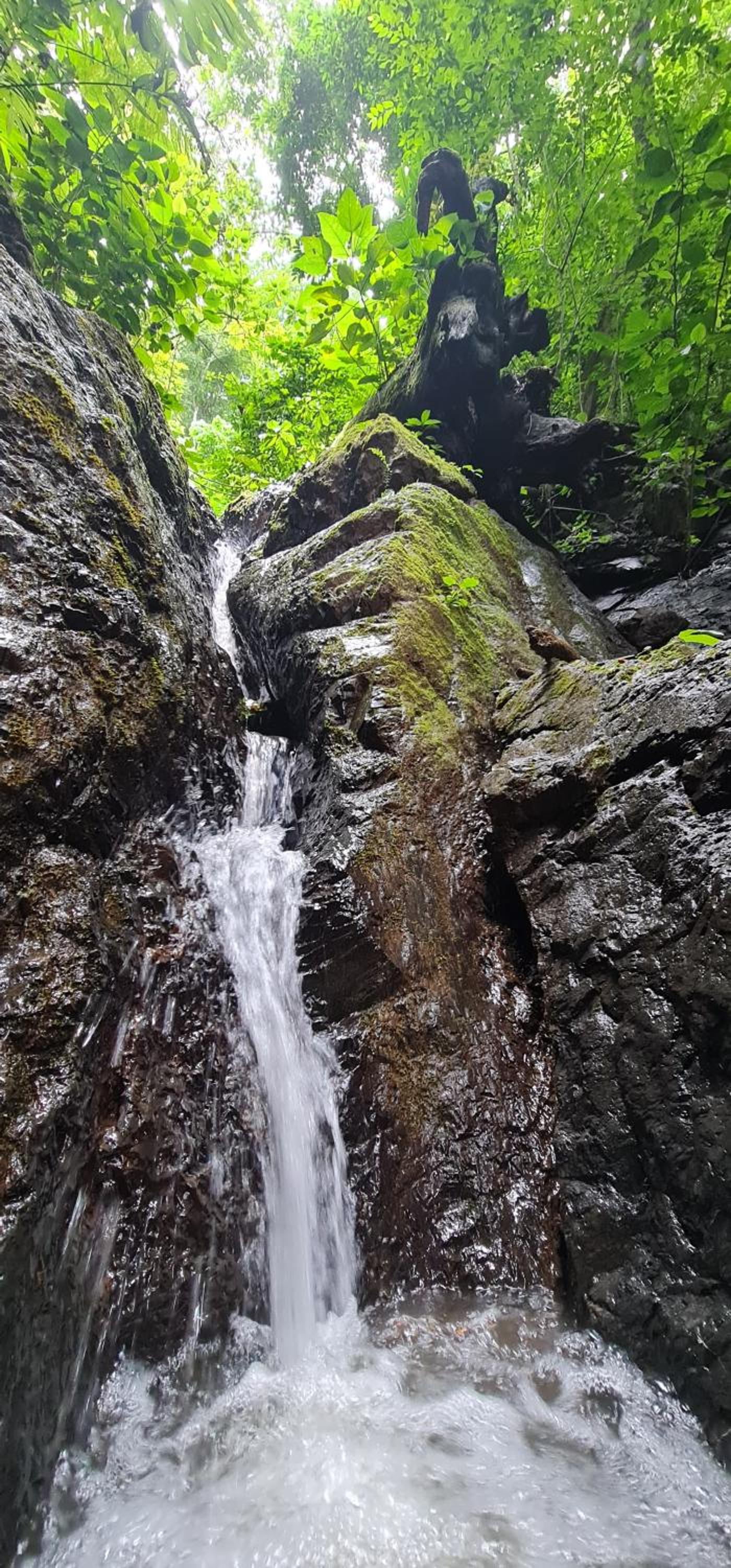 LA CABAÑA & hiking