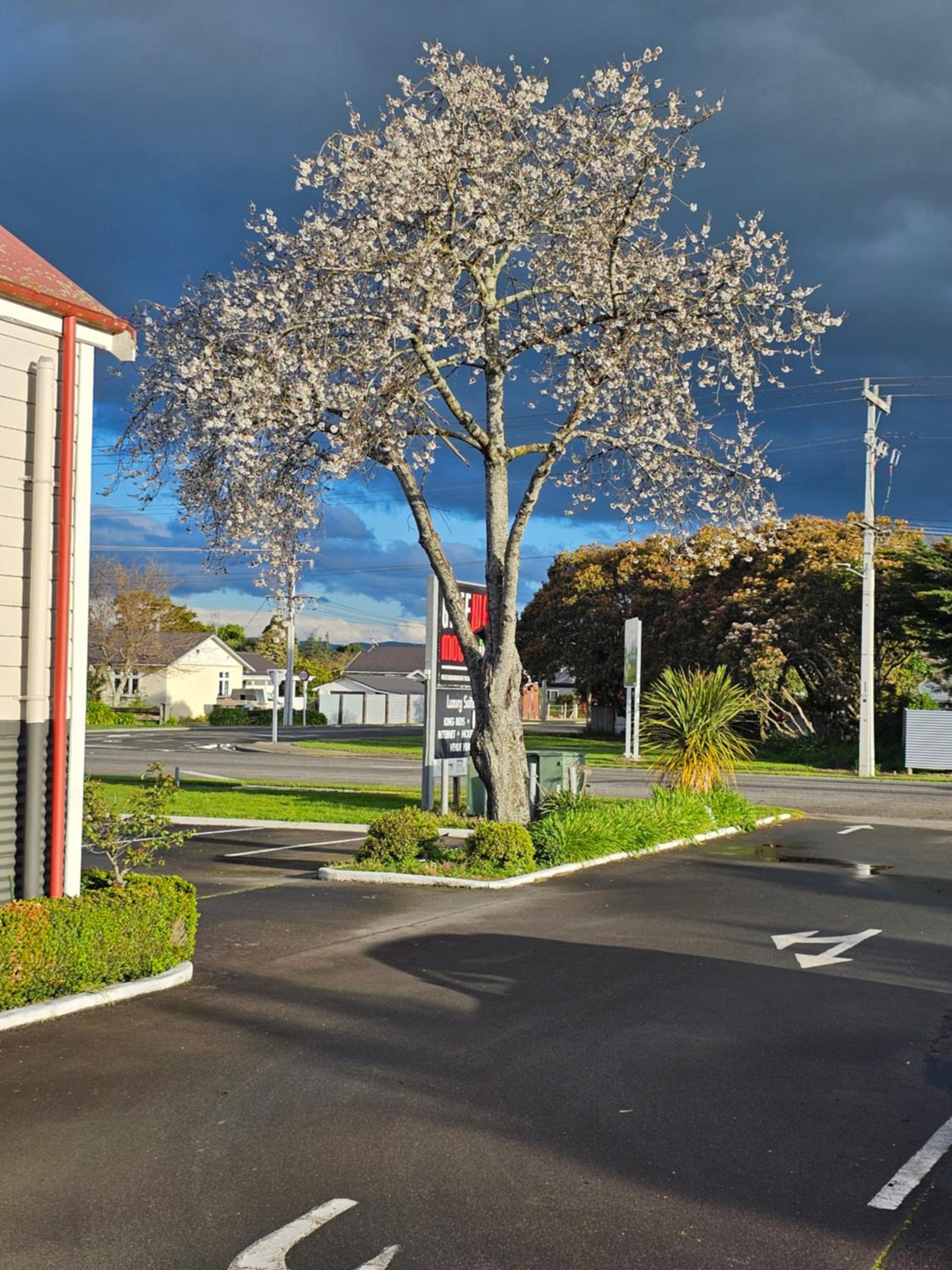Gateway Motor Inn
