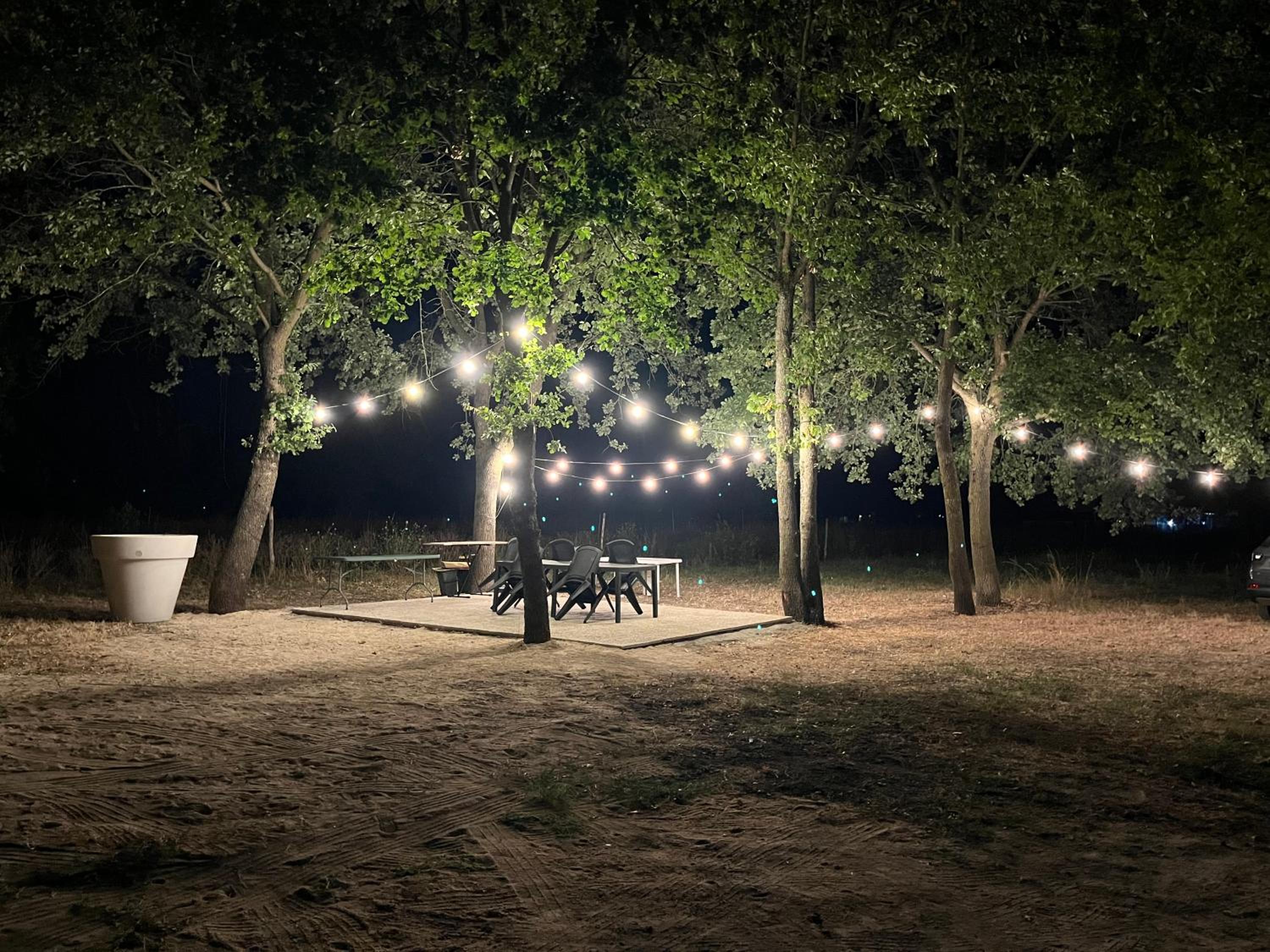 Photo 27