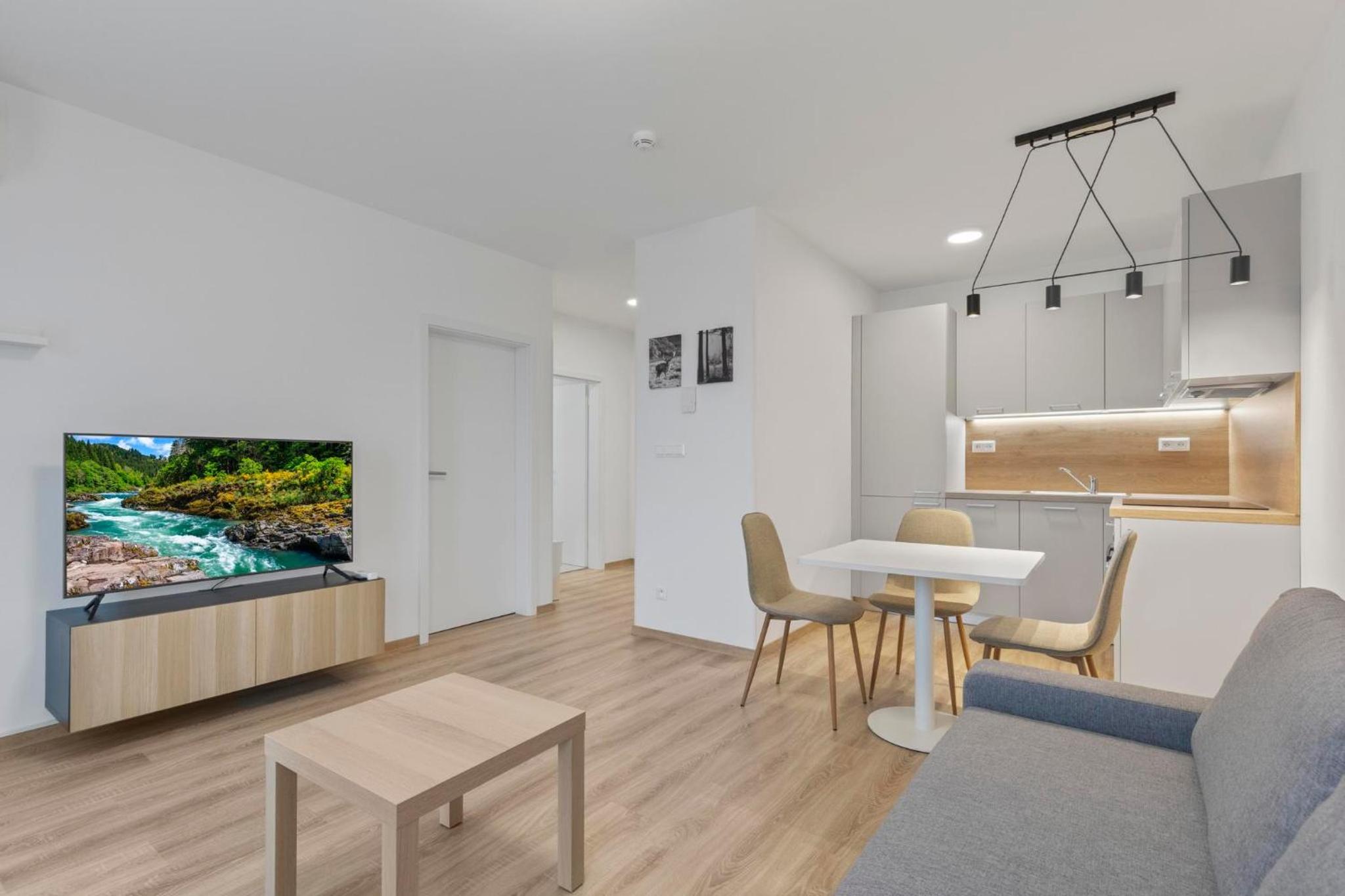 Pilot Apartment - With parking view 2